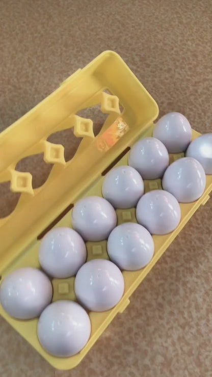Improve Focus, Coordination, and Calmness within ADHD children during play